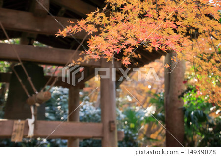 Autumn leaves of Zuisenji Autumn leaves of Zuisenji 14939078