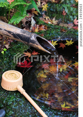 Zuisenji秋葉 14939083