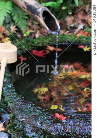 Zuisenji秋葉 Zuisenji秋葉 14939084