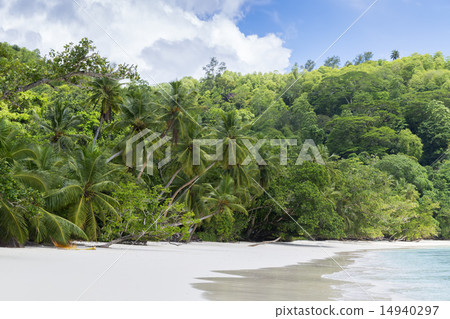 White coral beach sand and azure indian ocean. 14940297