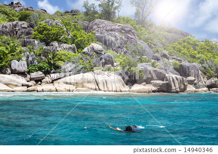 A snorkeler at an island coral reef with turtle. A snorkeler at an island coral reef with turtle. 14940346