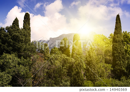 The Palace of count M.W.Vorontsov green park.  14940369