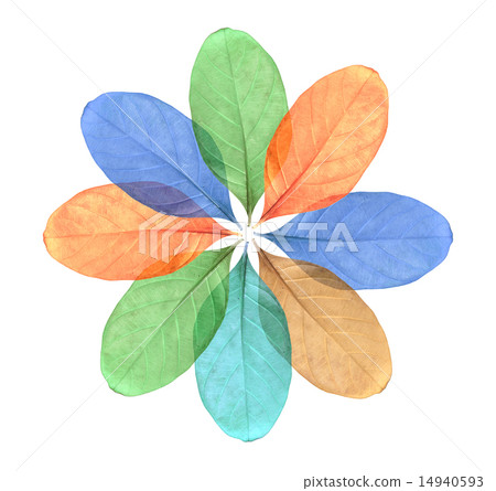 Abstract colorful Leaf isolated on white 14940593