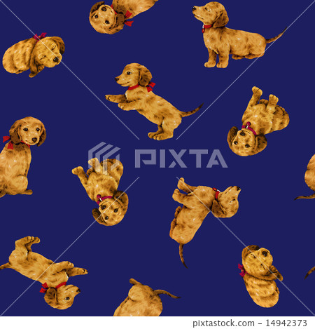 臘腸犬 14942373
