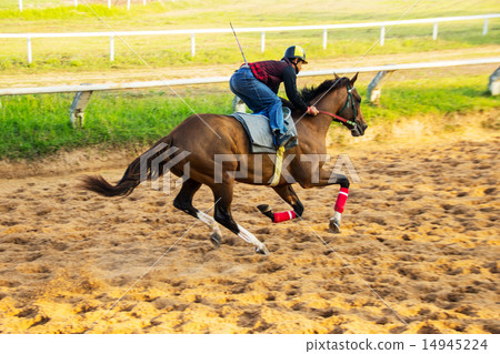 jokey ride horse in the sport jokey ride horse in the sport 14945224