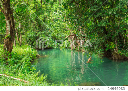 Blue lagoon, Vang vieng, Laos Blue lagoon, Vang vieng, Laos 14946083