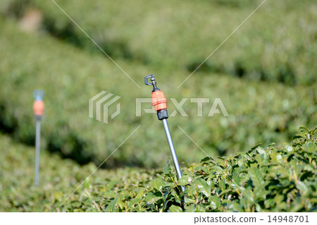 一個噴霧器 14948701