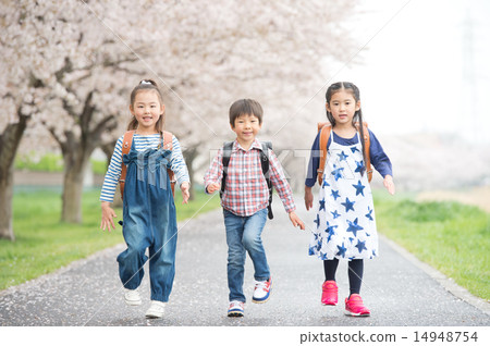 櫻花和小學生 14948754