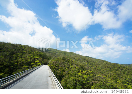 Okinawa's landscape · fresh green Yambaru 14948921