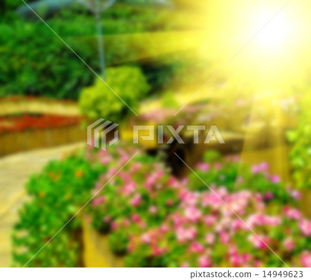 Abstract blur background of colorful nature 14949623