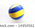 volleyball 14950562