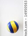 volleyball 14950563