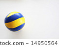 volleyball 14950564