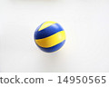 volleyball 14950565