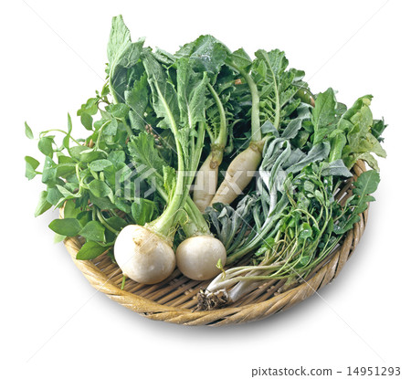 七種春天的草藥 七種春天的草藥 14951293