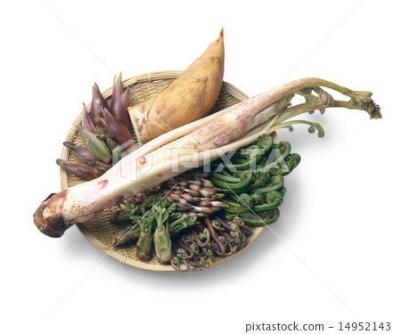 野菜收集（烏冬面，竹筍，姜，女神，主發條，tsukushi，鱈魚） 14952143