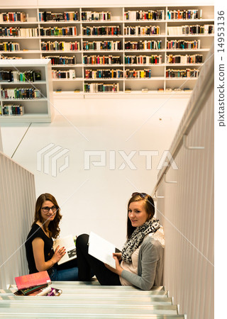 Studying at the public library 14953136