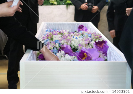 Farewell Farewell 14953501