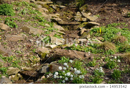 A small rock garden A small rock garden 14953542
