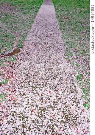 Wherever. Wherever. 14954083