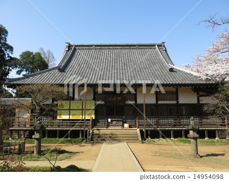 Golden Board of Noda City where cherry blossoms are blooming (Main Hall) 14954098