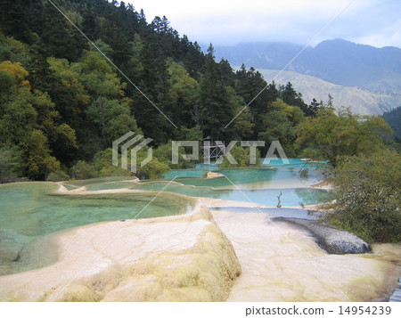 黃龍風景區 黃龍風景區 14954239