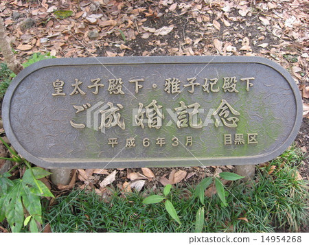 Dear Prince, 14954268