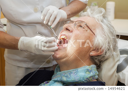 Female dentist and her patient (the Netherlands) Female dentist and her patient (the Netherlands) 14954621