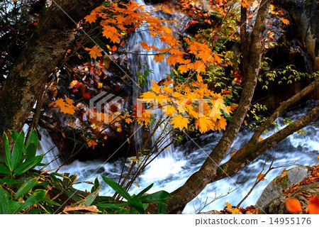 Terracotta of autumn leaves Terracotta of autumn leaves 14955176