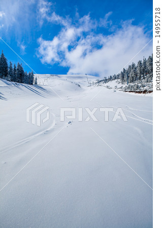 WInter Landscape WInter Landscape 14955718
