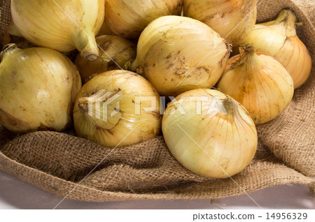 New Onion · Bounty of the Earth New Onion · Bounty of the Earth 14956329