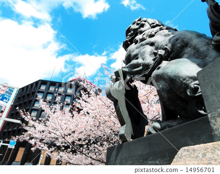 日本橋 - 櫻花盛開 日本橋 - 櫻花盛開 14956701