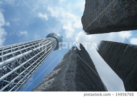 Compare back 14956788