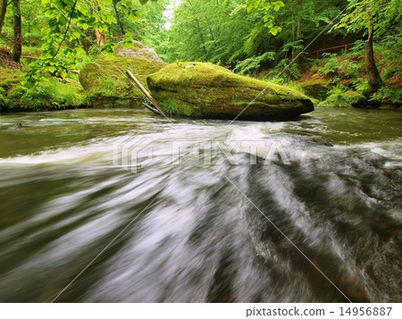 Big green mossy boulder in water of mountain river 14956887