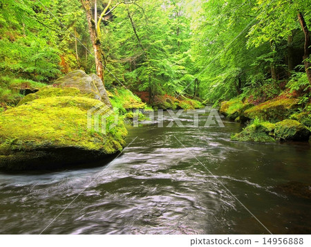 Big green mossy boulder in water of mountain river 14956888