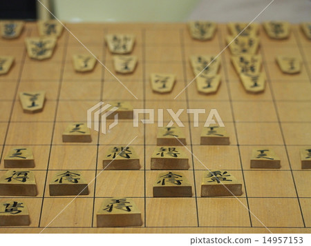 將棋（山梨） 14957153