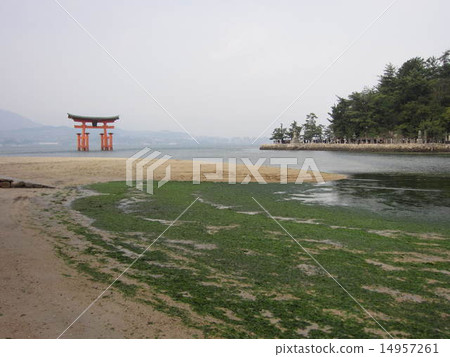 在嚴島神社的Otori退潮 14957261