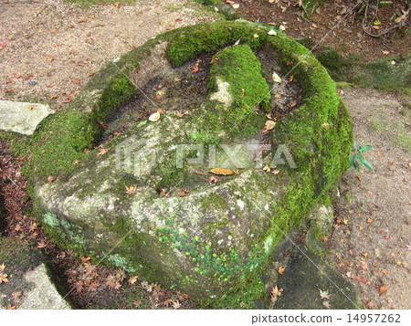 moss-covered rock 14957262