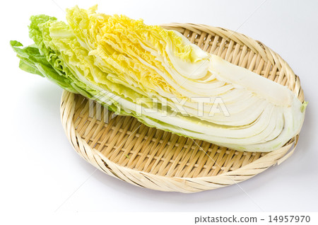 切出白菜 切出白菜 14957970