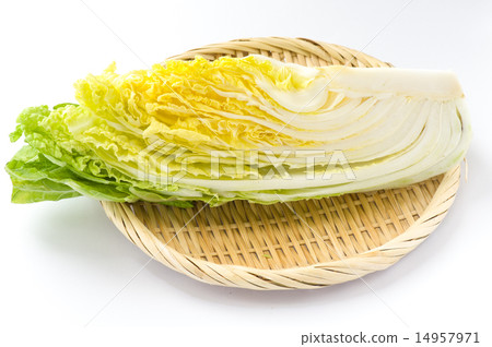 切出白菜 切出白菜 14957971