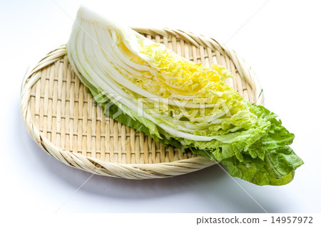 切出白菜 切出白菜 14957972