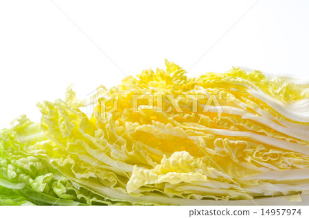 切出白菜 切出白菜 14957974