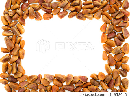 frame with Nuts of Siberian Cedar Pine frame with Nuts of Siberian Cedar Pine 14958043