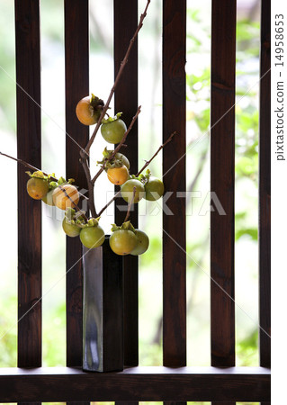 柿子插花 14958653