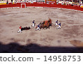 Bullfighting 1 14958753