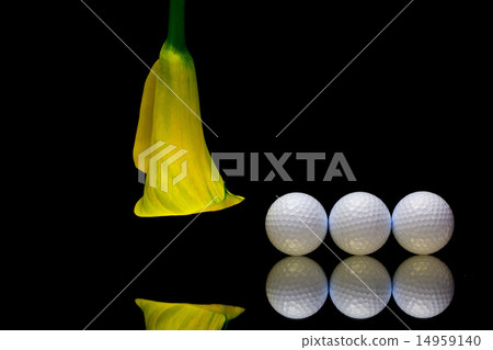 Yellow calla lily and golf ball  14959140