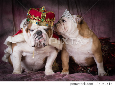 royal couple royal couple 14959312