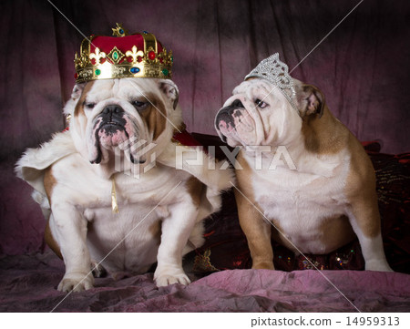 royal couple 14959313