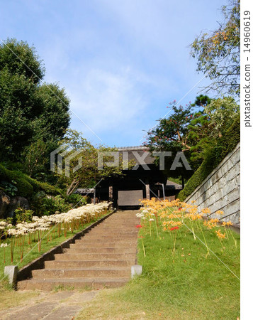 Saikaku-ji in autumn 14960619