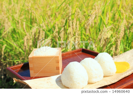 美味的全新飯糰 美味的全新飯糰 14960640